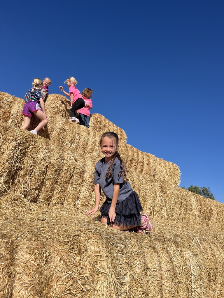Kindergarten Field Trip to Glen Rays Pumpkin Patch