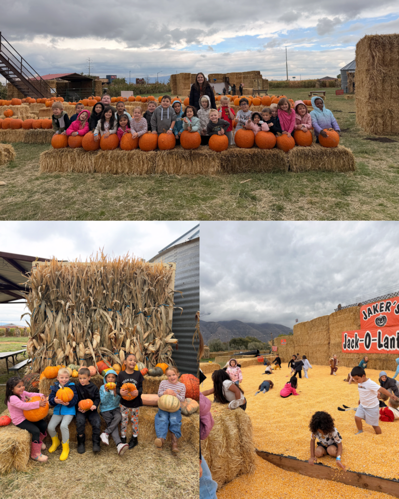 pictures of jakers pumpkin patch