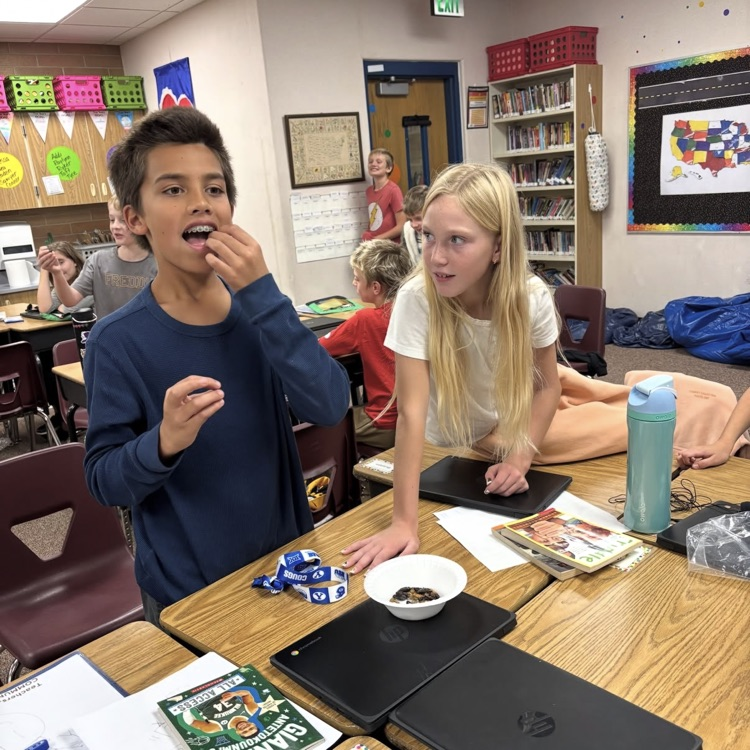 Mt. Loafer Elementary students sample insects for persuasive writing lesson