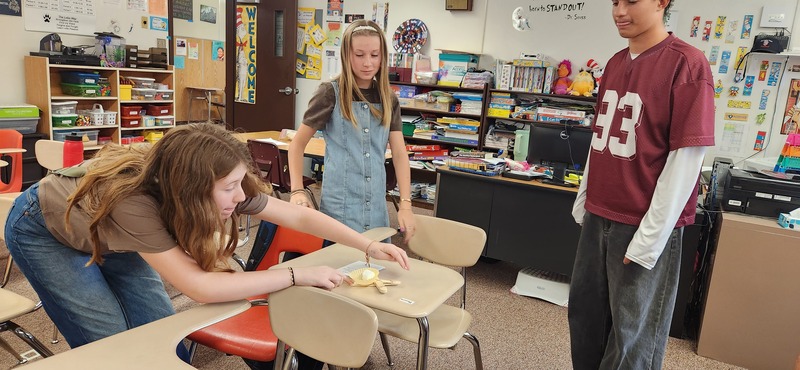 Marshmallow Catapults