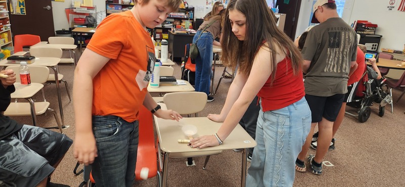 Marshmallow Catapults