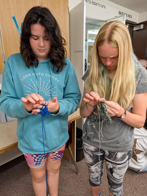 Students felted wool.