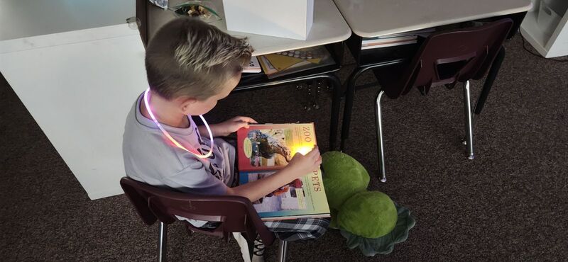 Day of Reading