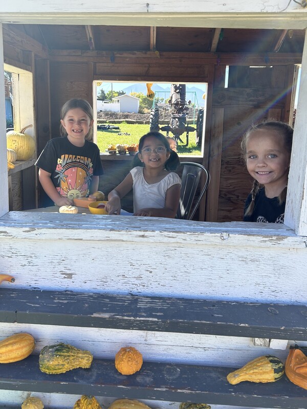 Field Trip