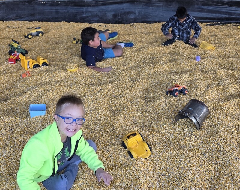 Field Trip