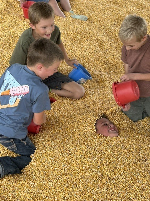 Cornbellys