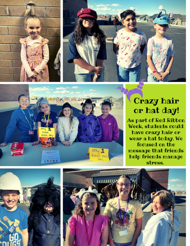 crazy hair and hat day