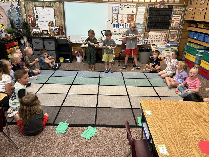 Turtle Races
