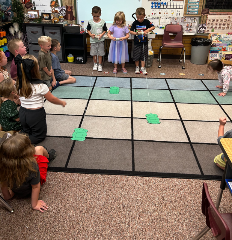 Turtle Races