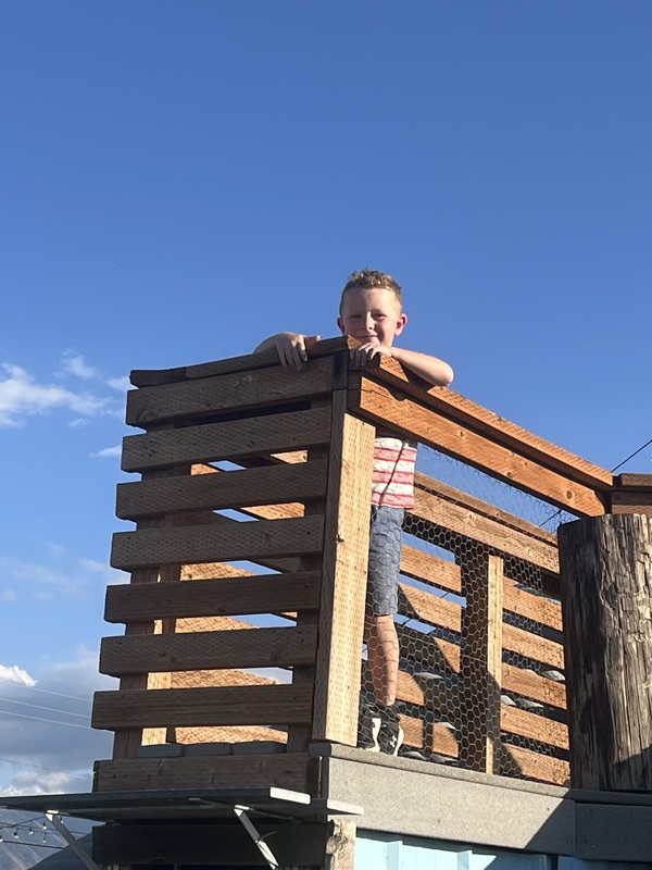 Fall Festival