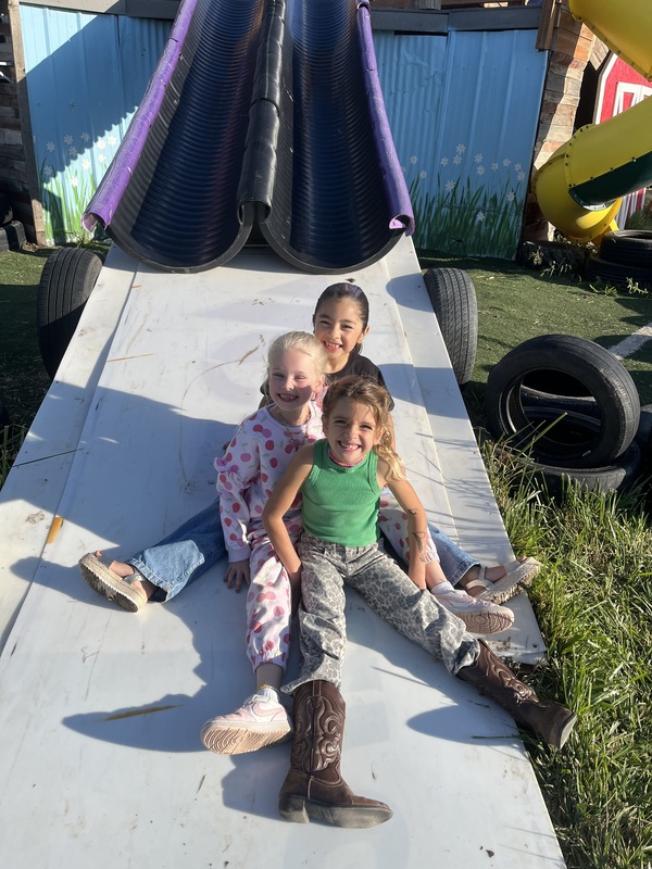 Fall Festival