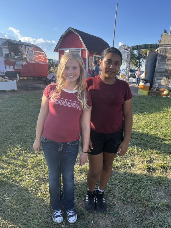 Fall Festival