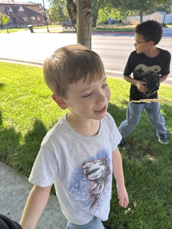 First grade exploring Springville