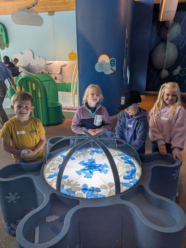 Museum of Curiosity