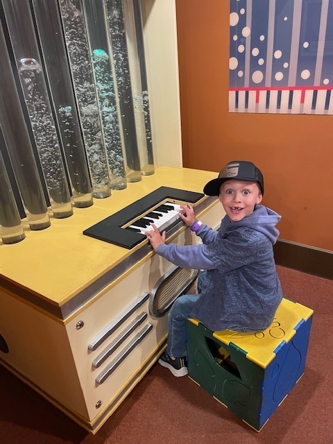 Museum of Curiosity