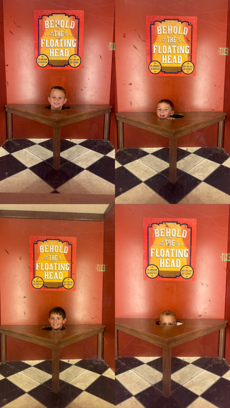 Museum of Curiosity