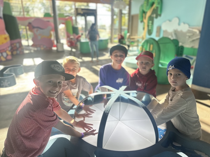 Museum of Curiosity