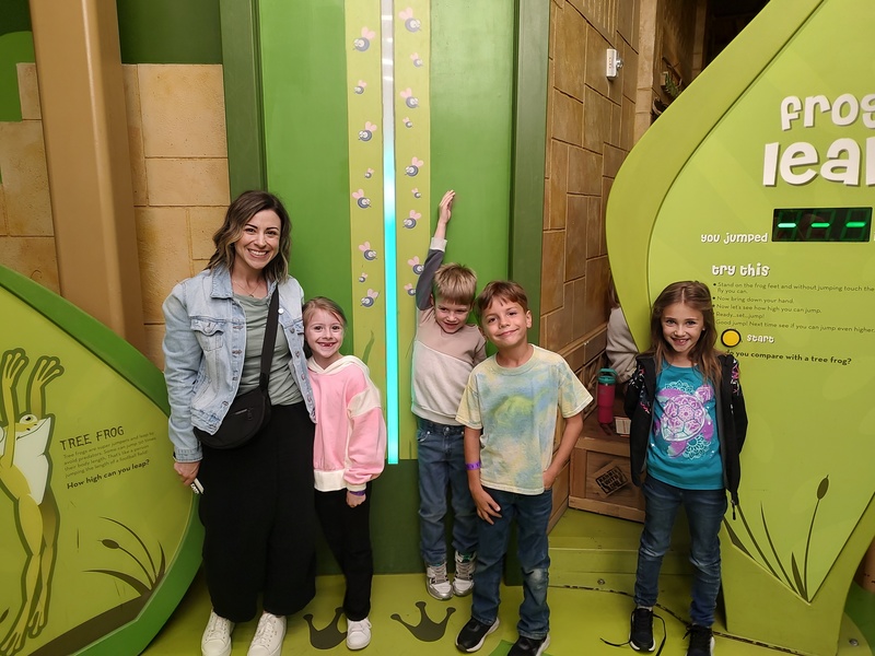 Museum of Curiosity