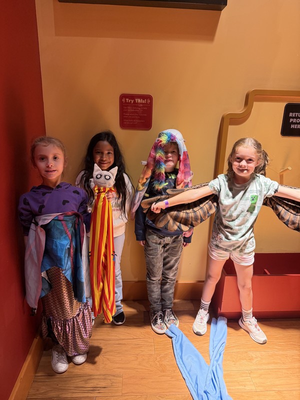 Museum of Curiosity