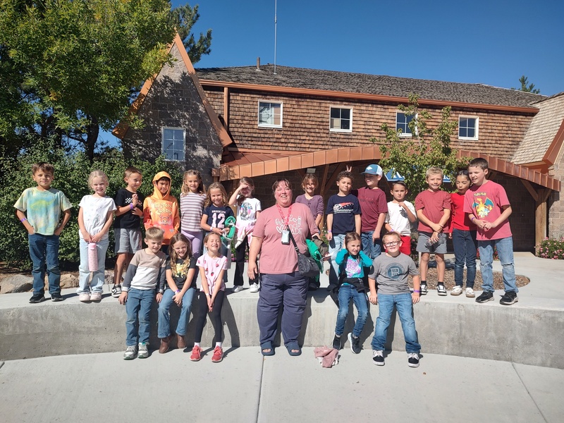 Museum of Curiosity