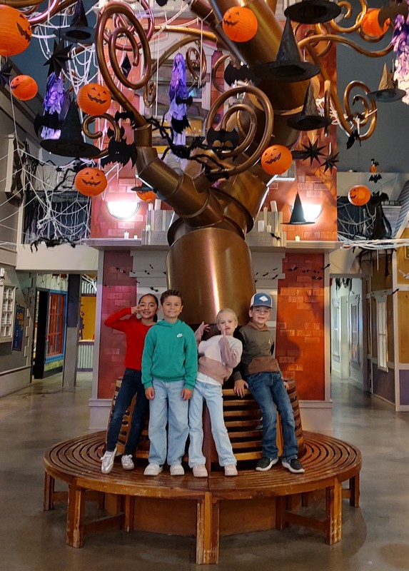 Museum of Curiosity
