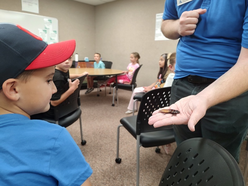 Loveland Aquarium