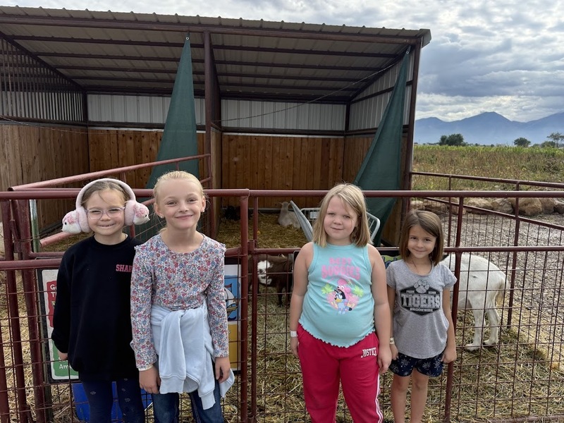 cornbelly's field trip