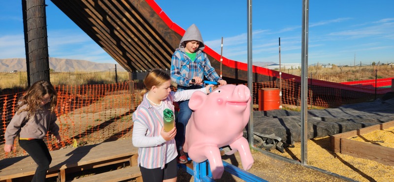 Student riding Pig