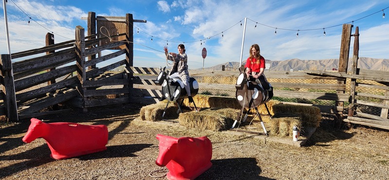 Riding pretend horses