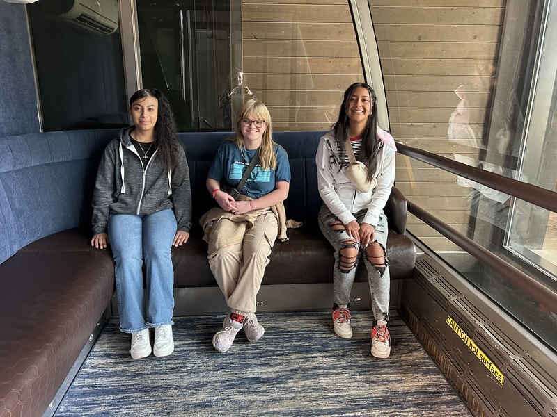 Hospitatlity Management