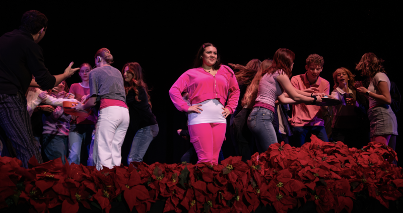 Fine arts Assembly- diary of a wimpy kid