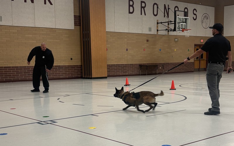 K-9 Dog and Officers