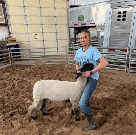 Lamb