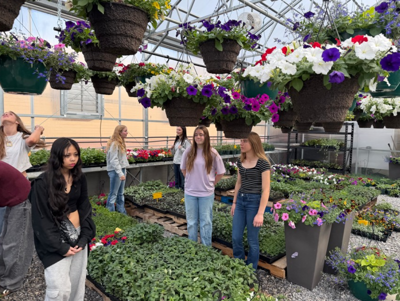 Greenhouse