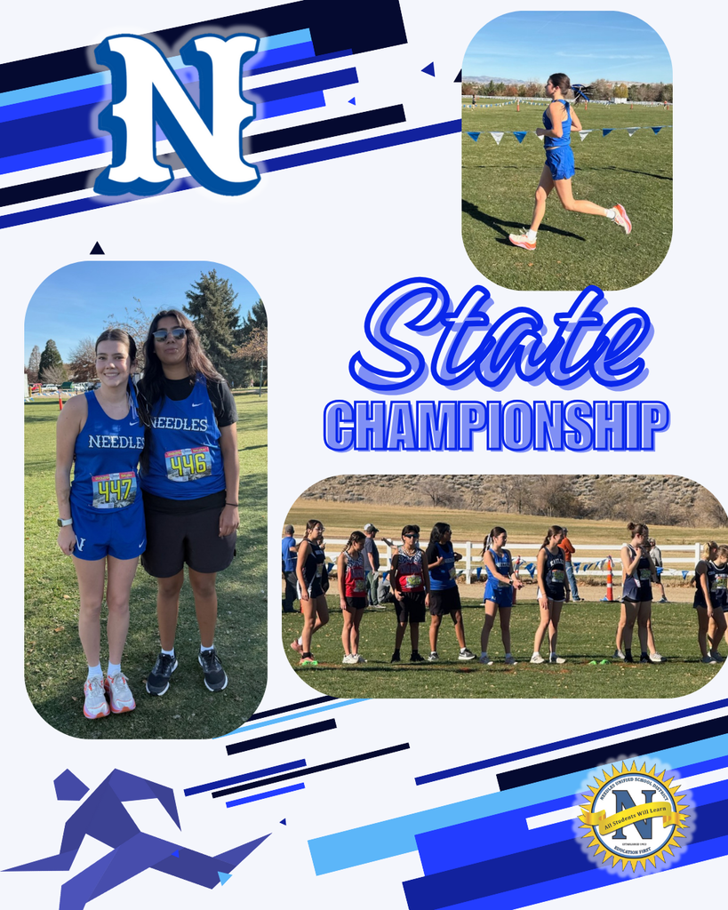 Collage of a cross country state championship. Features runners in blue uniforms, an "N" logo, and the words "State Championship" in bold text.