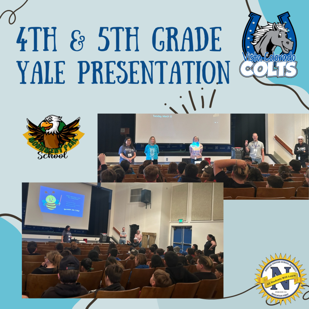 Student presentation