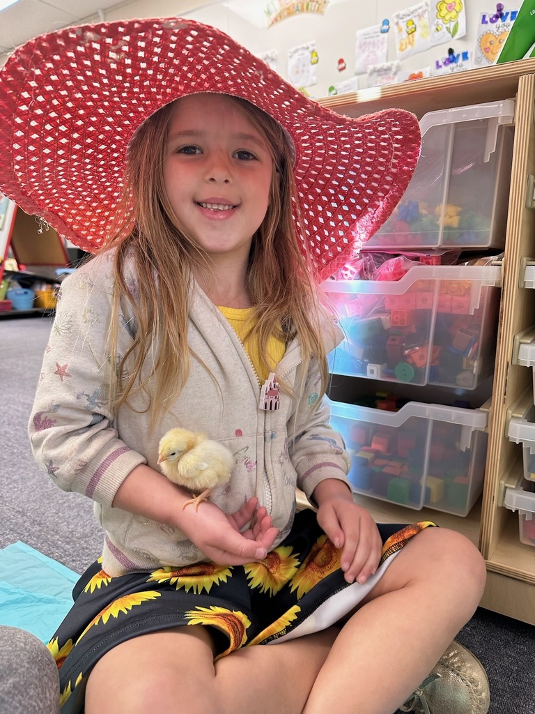 Student with hat and chick.