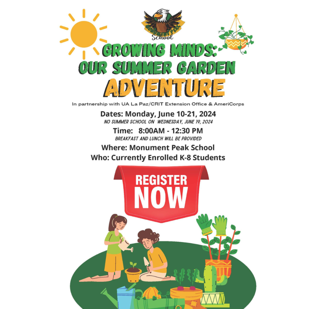 MPS summer school flyer.