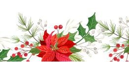 Poinsettia Fund Raiser