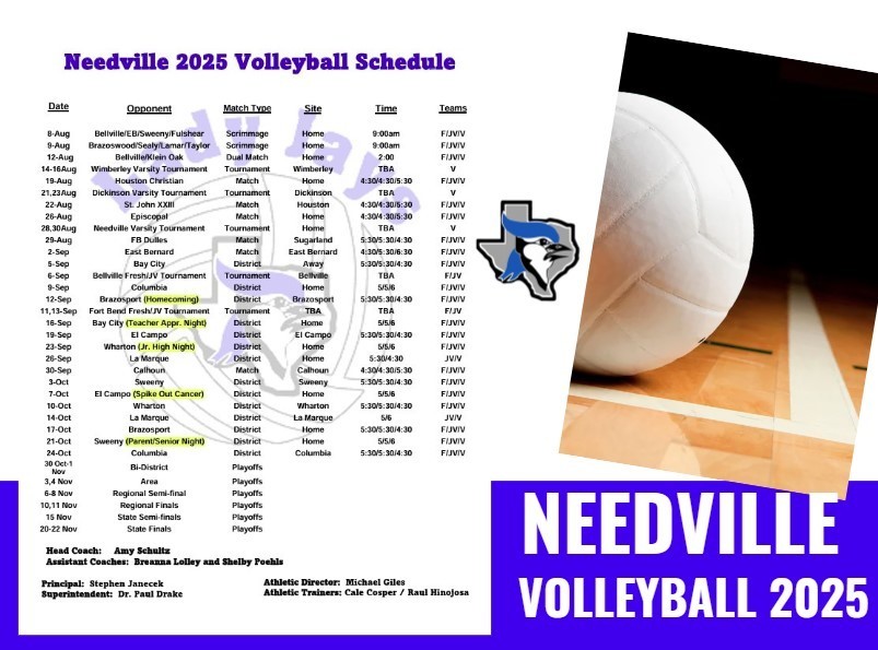 volleyball