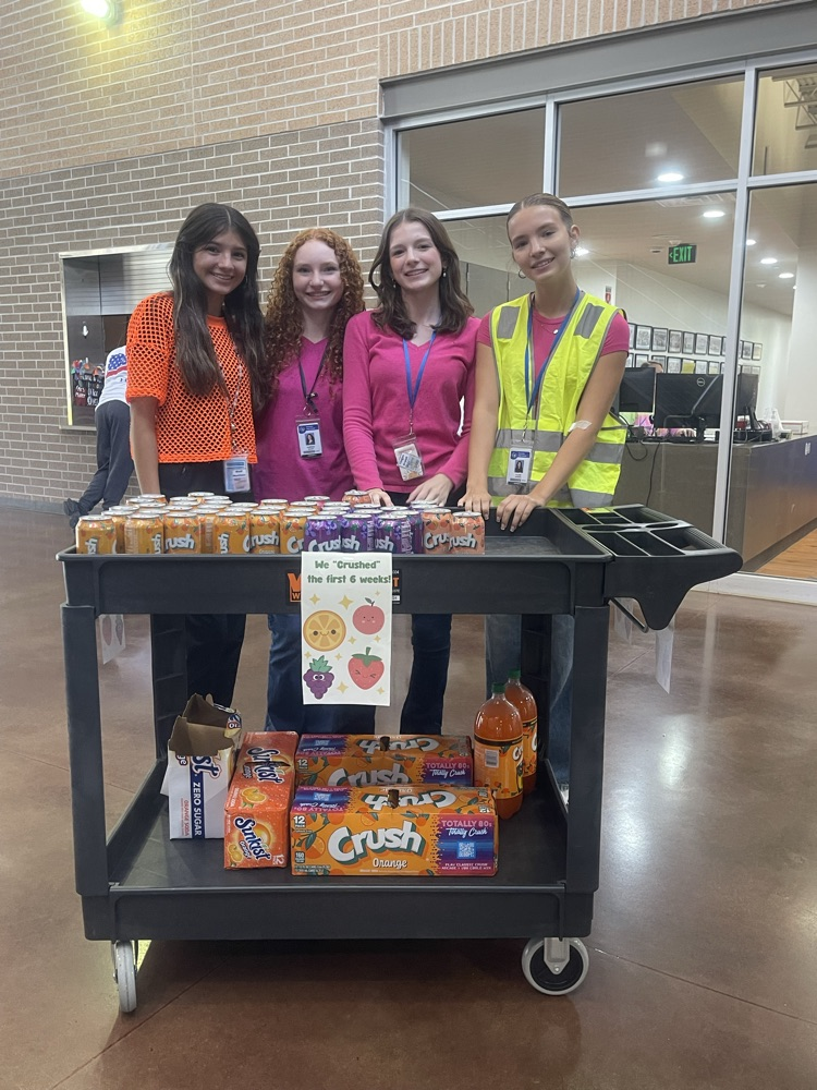 crush stuco