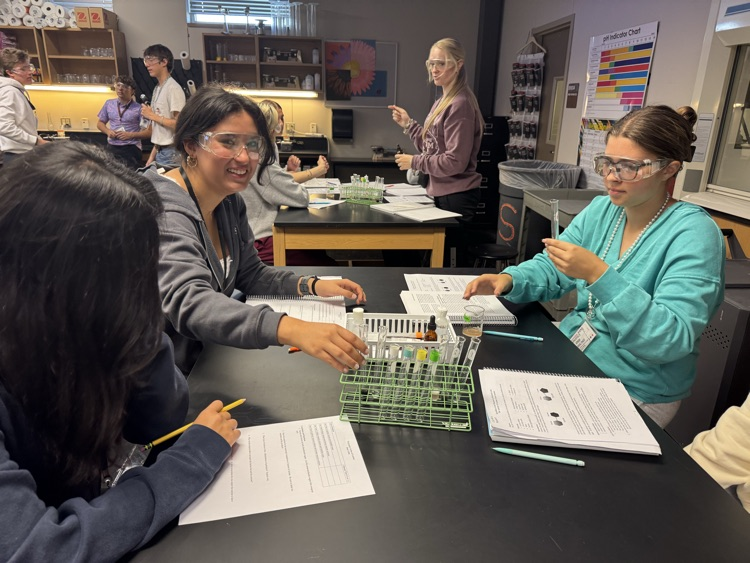 lab