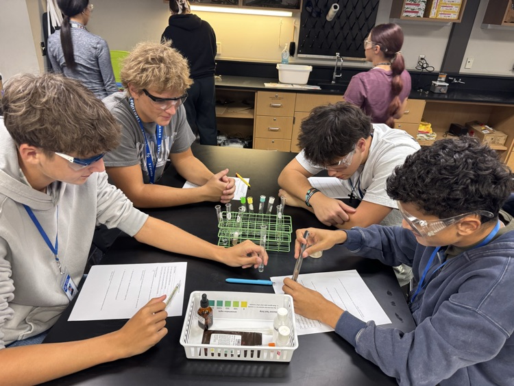 lab