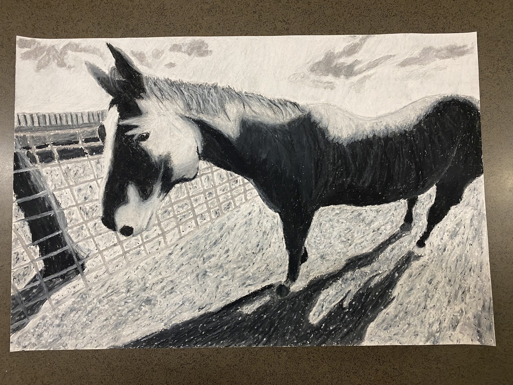 Luke Cantu- DR- Finalist