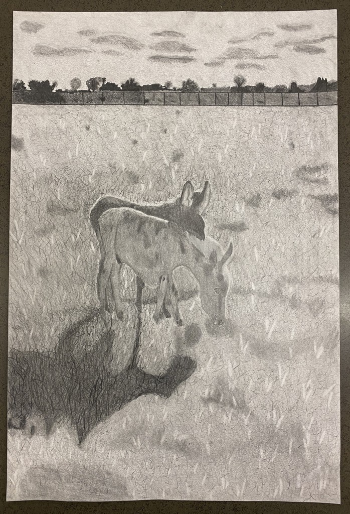 Anthony Lara- Shadows of the Meadows- Finalist