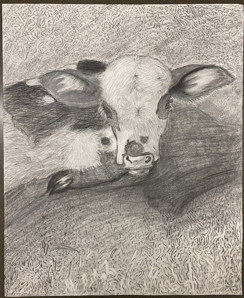 Angel Santizo- Grazing Light- Finalist