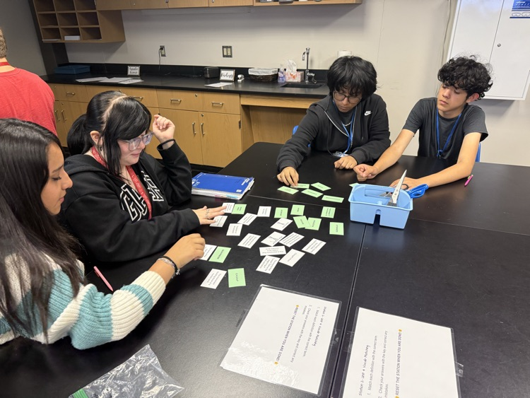 Biology students in Mrs. Collins’s class rotated through various stations to review DNA structure and cell cycle information!