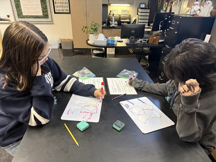 Biology students in Mrs. Collins’s class rotated through various stations to review DNA structure and cell cycle information!