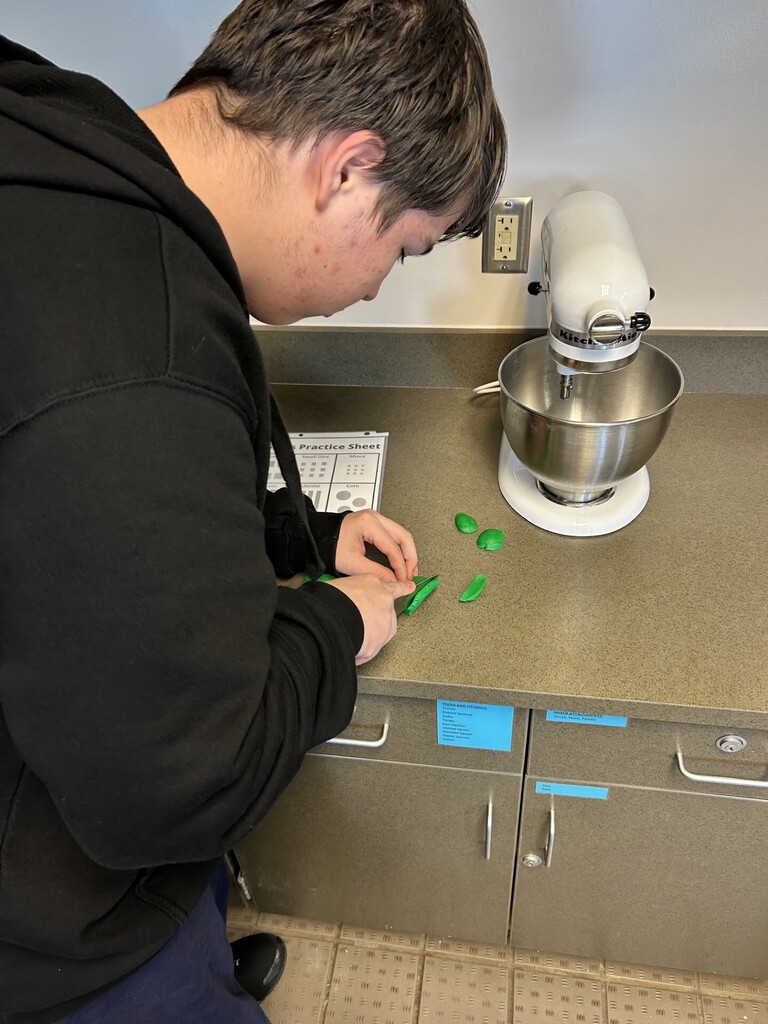 young man in black hoodie cutting green play-doh