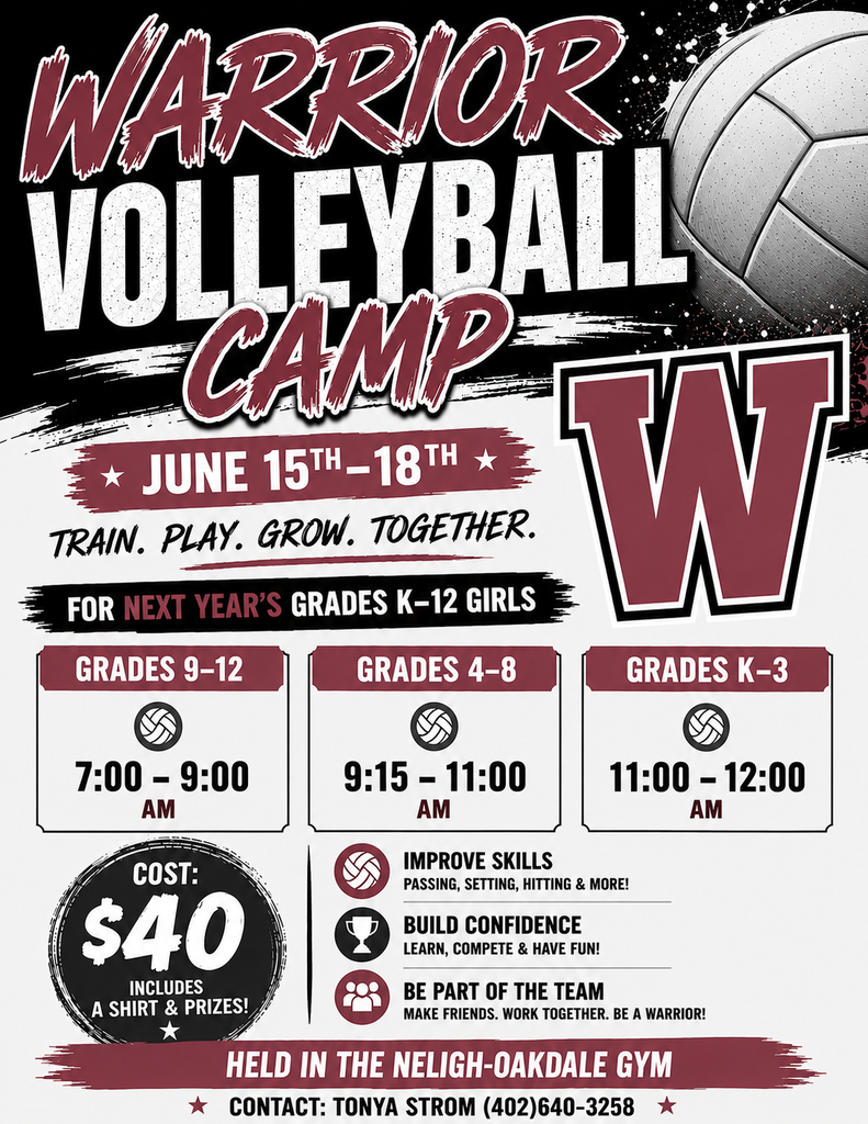 Summer Volleyball Camp